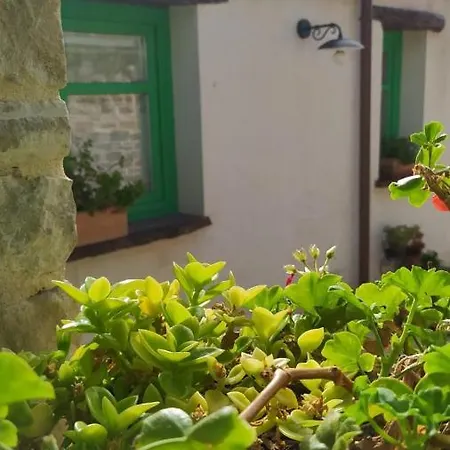 Tziu Giuanni Bed & Breakfast